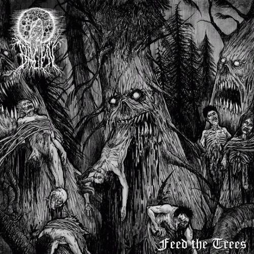 Dalen : Feed the Trees
